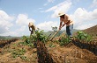 Niềm tin cho người dân góp đất